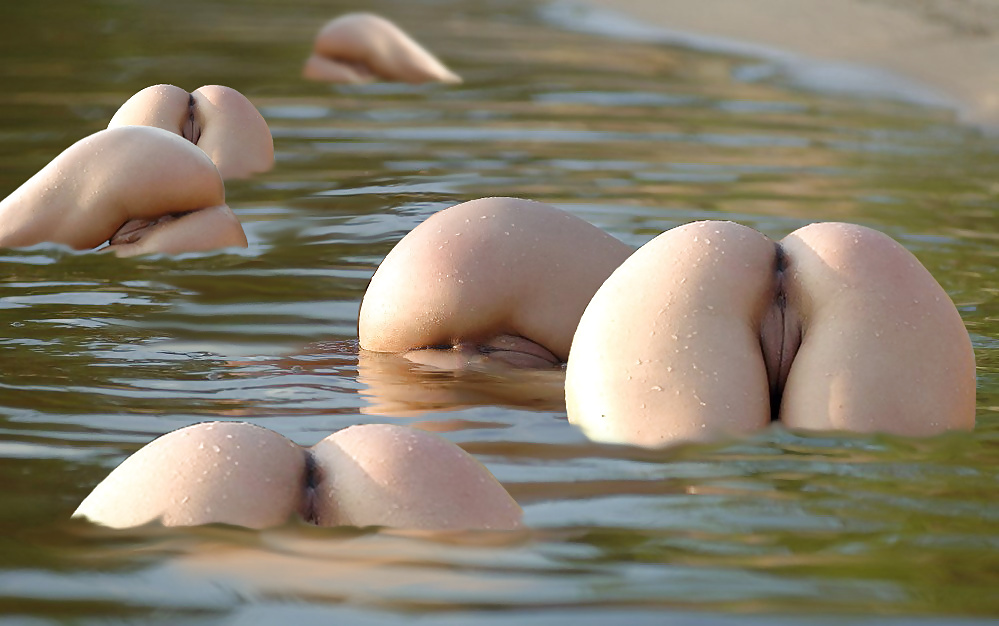262_1000.jpg