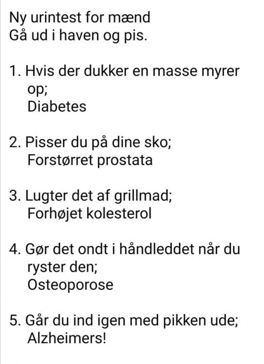 Billedet indeholder sandsynligvis: tekst, der siger "Ny urintest for maend Ga ud haven og pis. .Hvis der dukker en masse myrer op; Diabetes 2. Pisser du pa dine sko; Forstorret prostata 3. Lugter det af grillmad; Forhojet kolesterol 4. Gor det ondt i nar du ryster den; Osteoporose 5. Gar du ind igen med pikken ude; Alzheimers!"