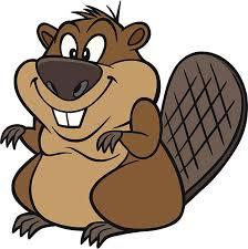 Billedresultat for beaver cartoon