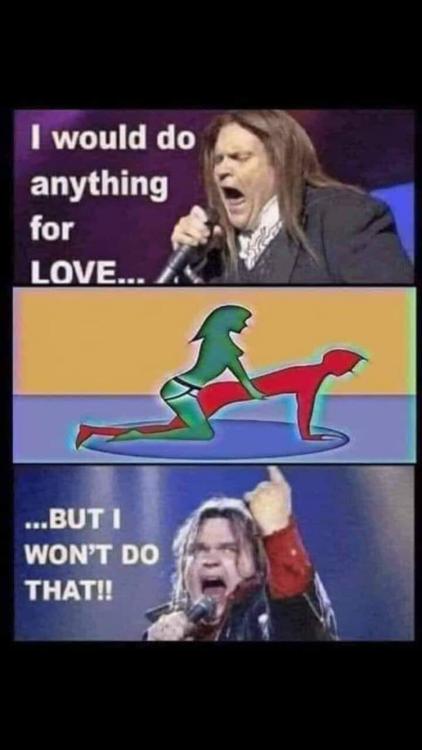 Billedet indeholder sandsynligvis: 1 person, tekst, der siger "I would do anything for LOVE... ...BUTI WON'T DO THAT!!"
