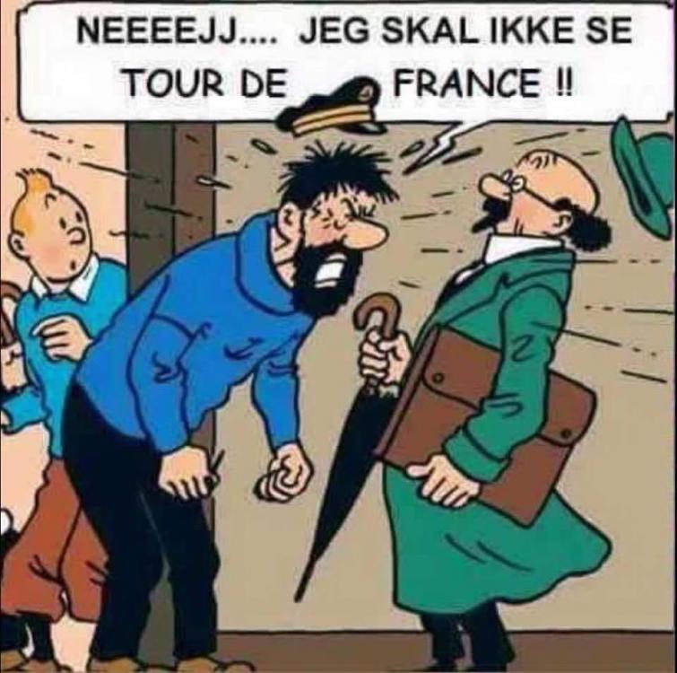 Ingen tilgængelig billedbeskrivelse.