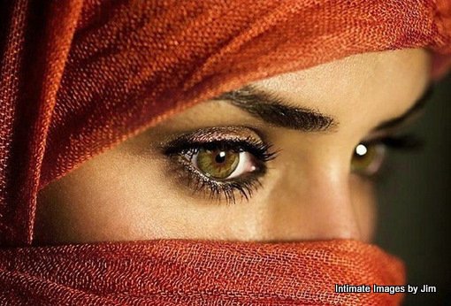(m=e-yaaGqaa)original_4244466.jpg
