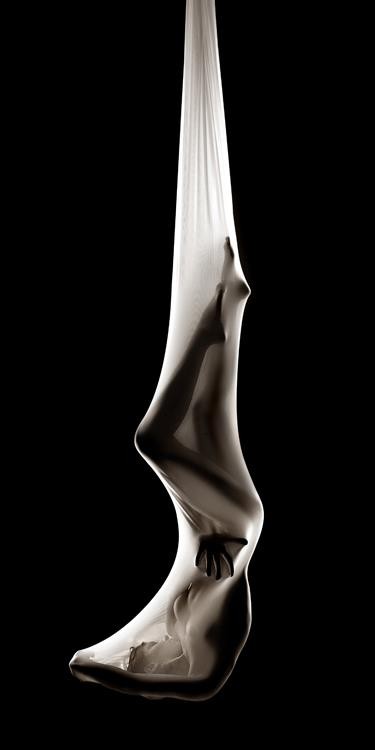 OUR NUDE FINE ART ~~ By DaVinceLeonardo And Garden