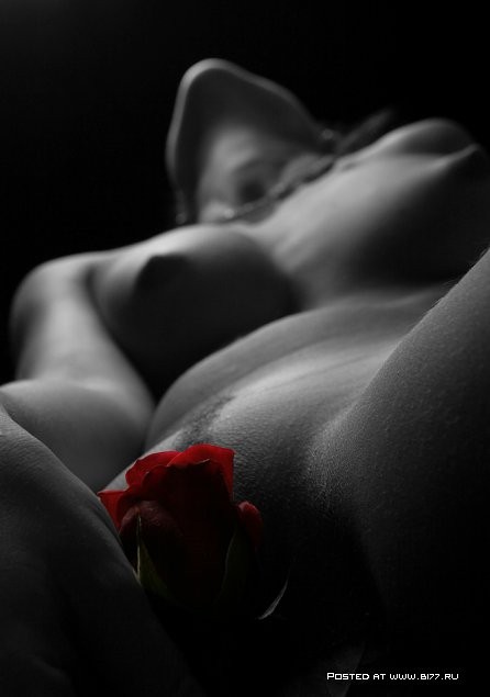 Sexy Art 4