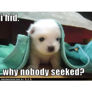 img-thing?.out=jpg&size=l&tid=27521637