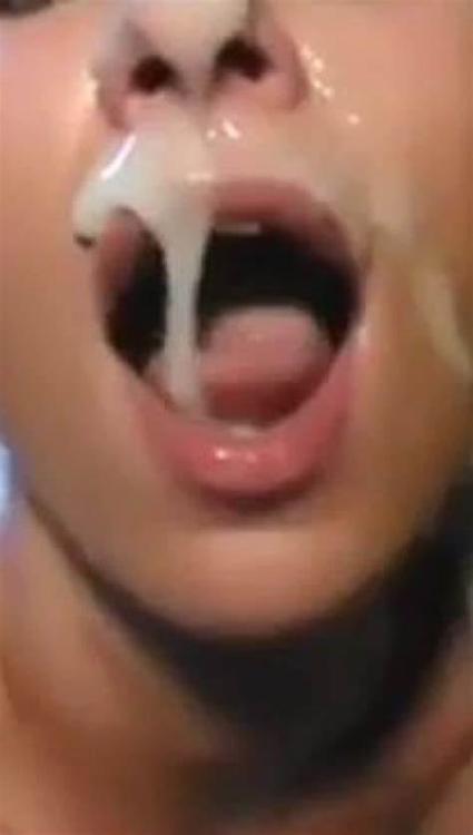 Se kildebilledet