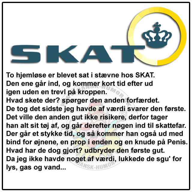 Billedresultat for skat dk