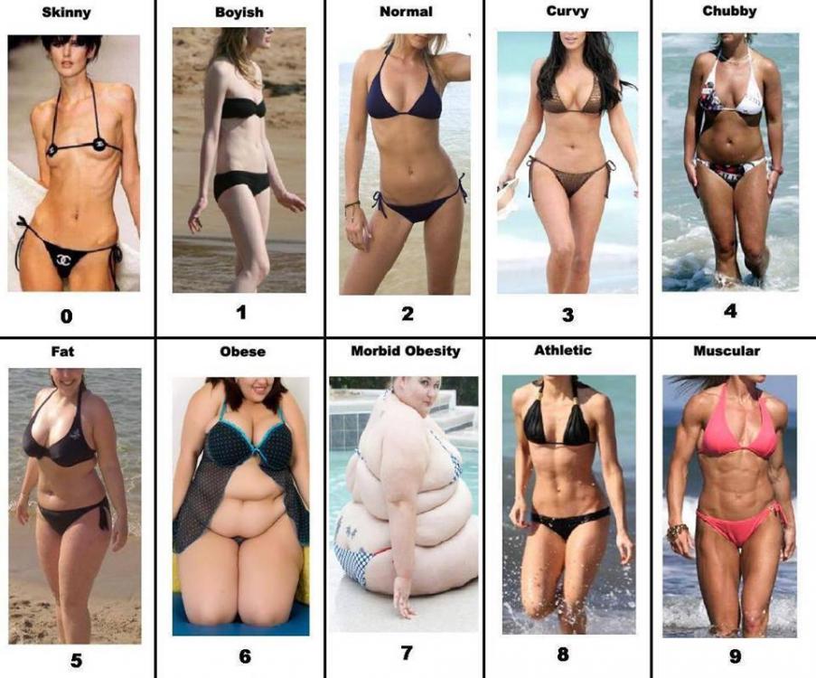 bodies3-preview.jpg