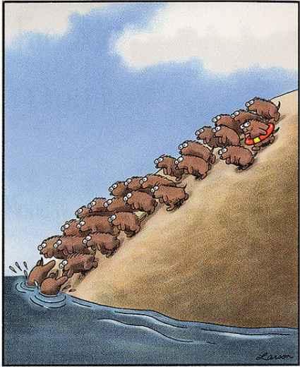 Billedresultat for lemminger"