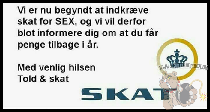 Billedresultat for skat dk