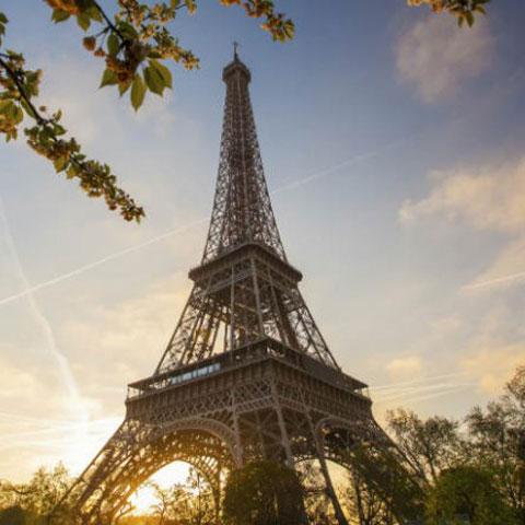 eiffel-tower-night.jpg