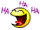 sm422.gif