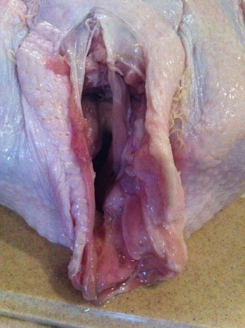 turkey-chicken-vagina.jpg