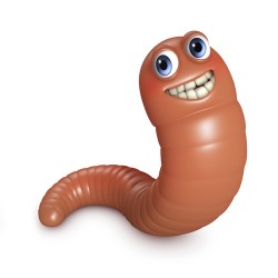 Billedresultat for worms
