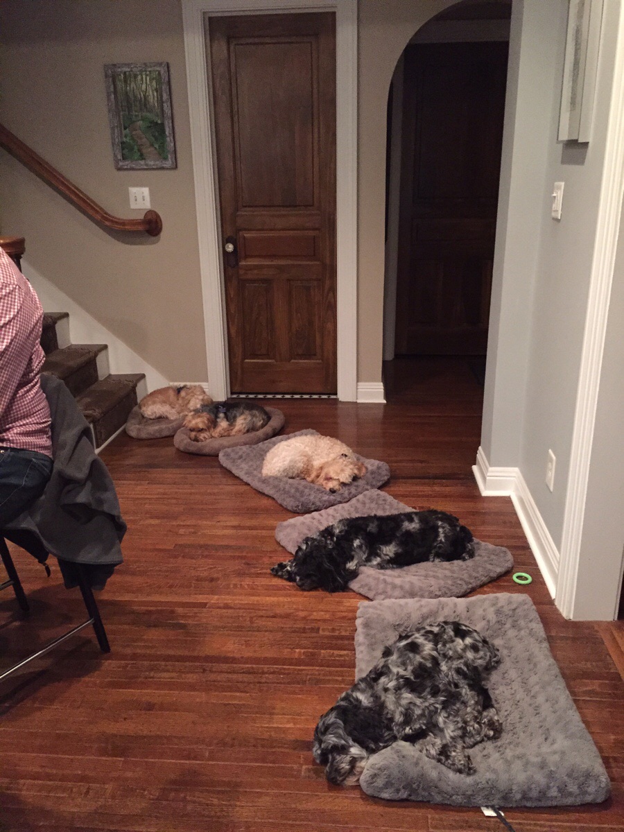 How to tell your NYE party is KILLING it!
