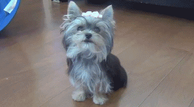15-05-09.gif