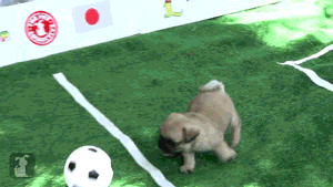 16-05-03.gif