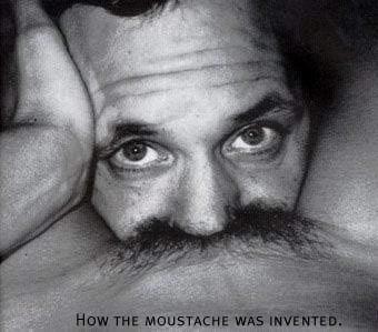 MOUSTACHE.JPG