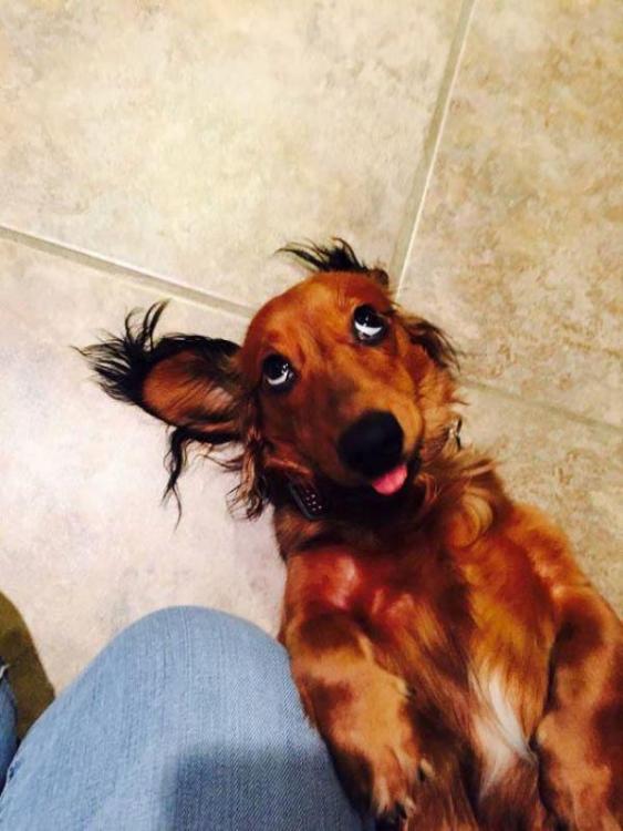 image.jpg