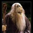 Gand-Alf