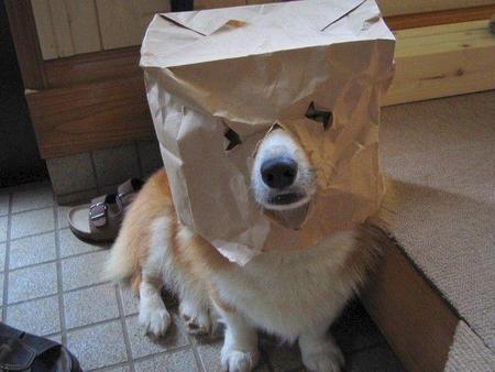 27.09.deth.jpg