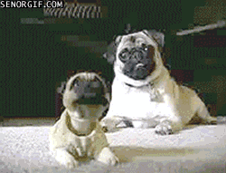 22.10.do.14.gif