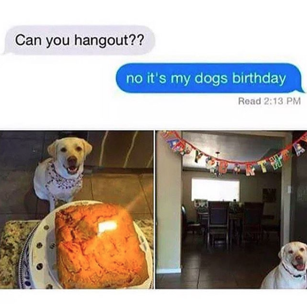 dogs-birthday.thumb.png.2697dcc66556b7fb