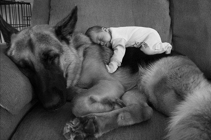 child-dog-love2.jpg.f81276e2909abedf5667
