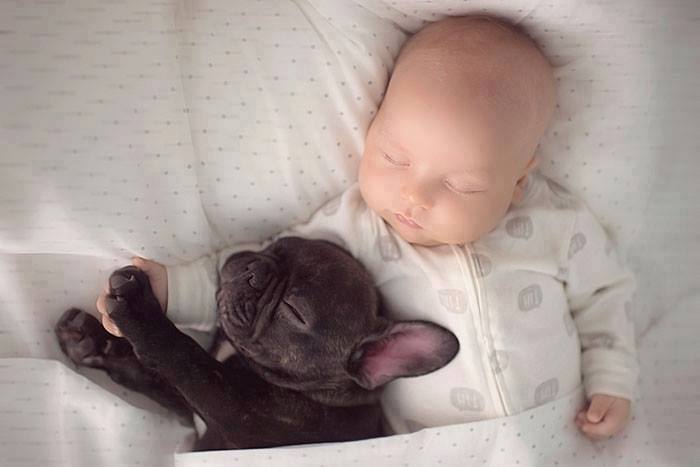 child-dog-love4.jpg.b9424c6fe7e7005704a8