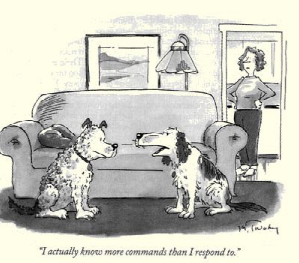 dog_cartoon.jpg