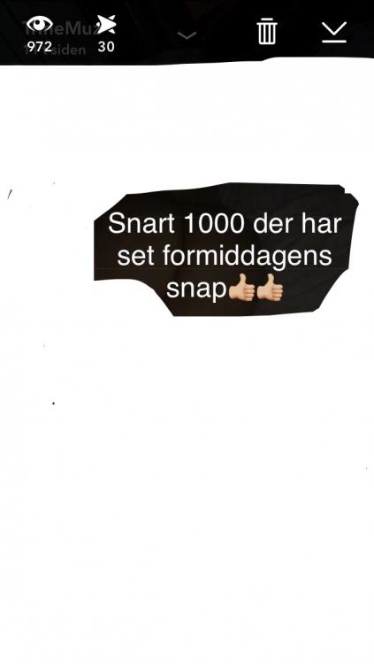 IMG_0748.PNG