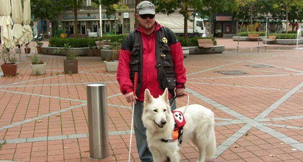 blindenhund_ja.jpg.7c9659055691626867a6bf92a239664d.jpg