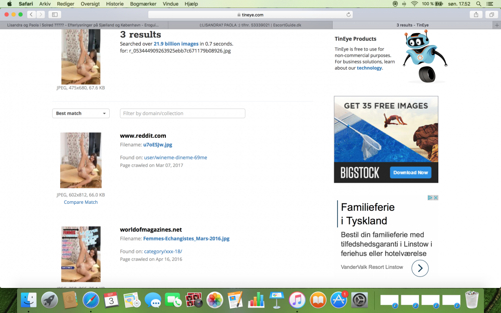 Skærmbillede 2017-09-03 kl. 17.52.52.png