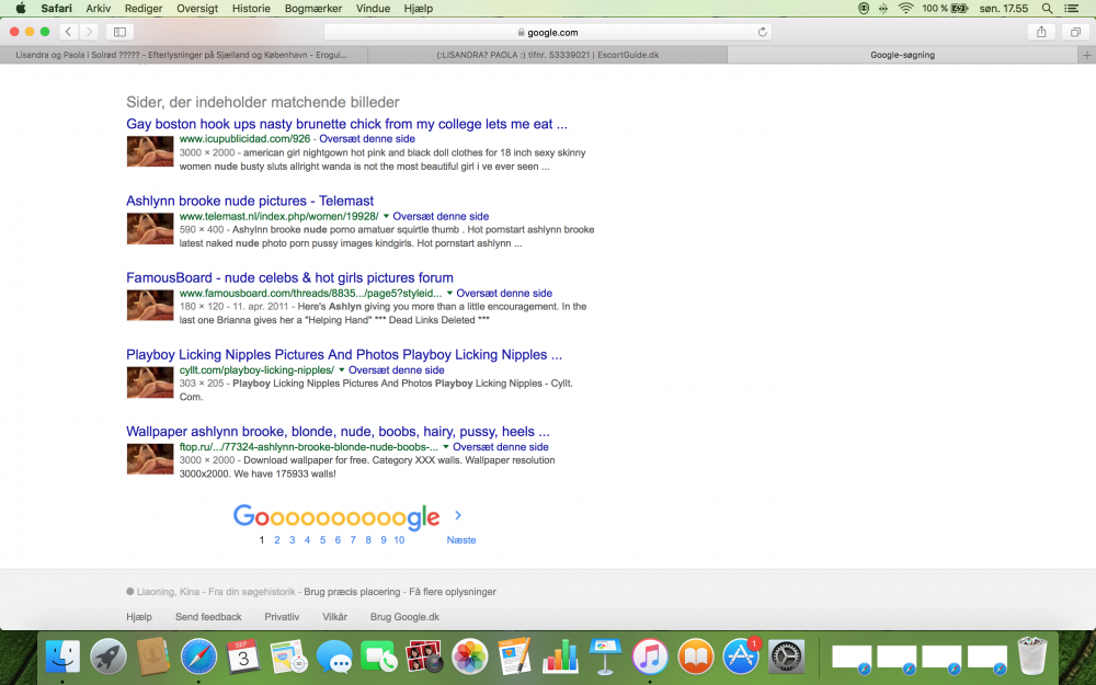 Skærmbillede 2017-09-03 kl. 17.55.09.png