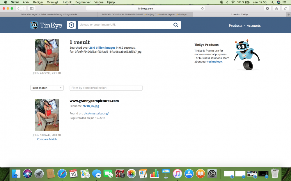 Skærmbillede 2018-03-18 kl. 12.56.03.png