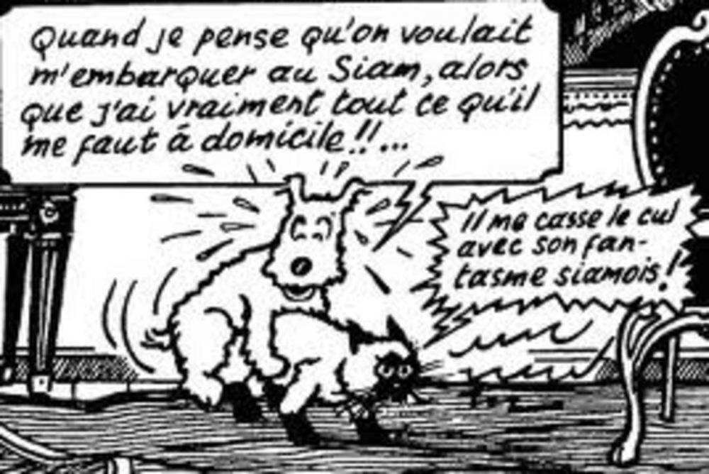 tintin 1754321_7_8b9d_extrait-de-tintin-en-thailande_9ba0c8907f910fe599292de8d9de115d.jpg