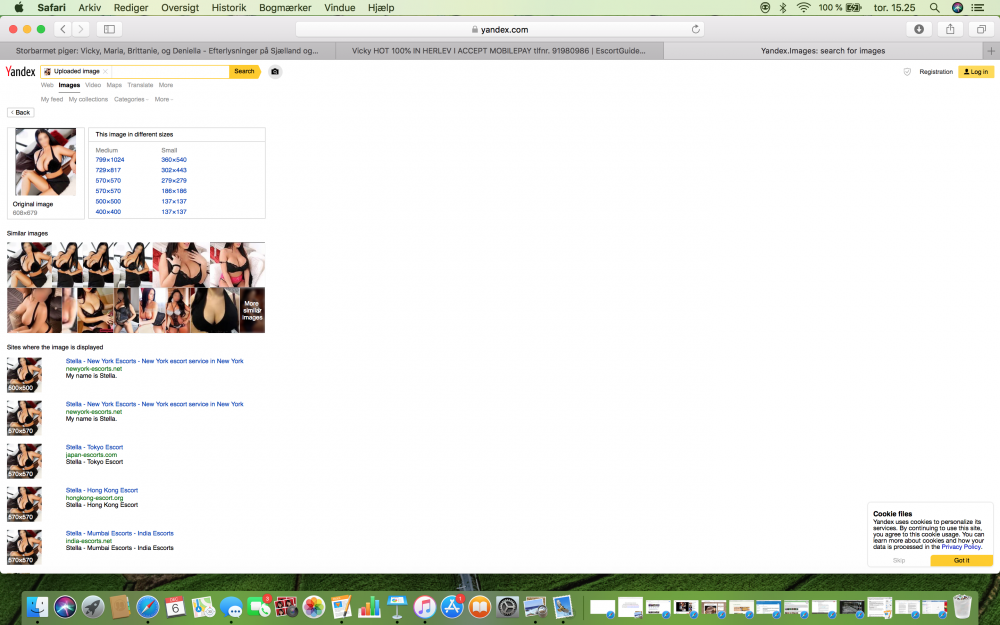 Skærmbillede 2018-12-06 kl. 15.25.56.png