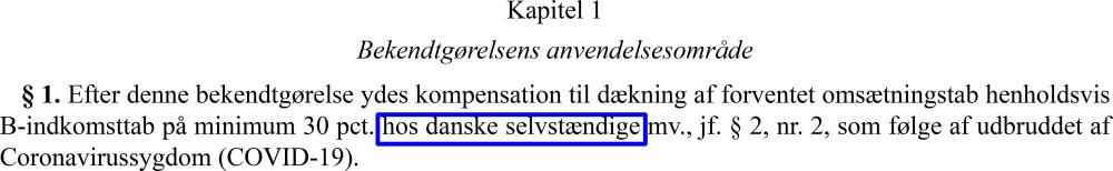 Danske selvstændige - kopia.jpg