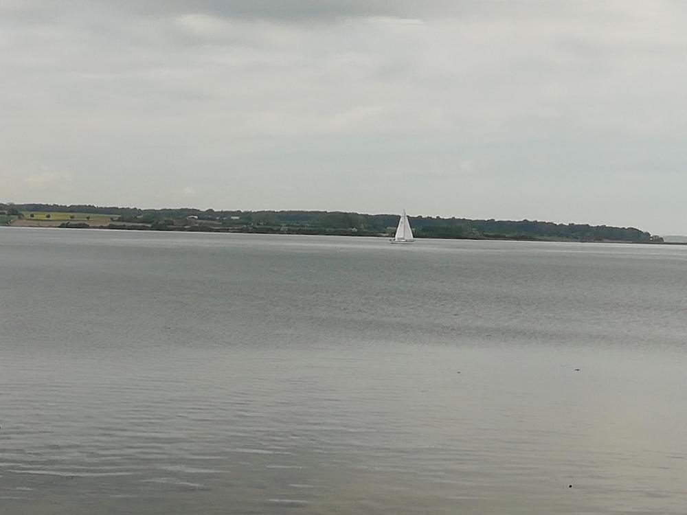 IMG_20200521_110021.jpg