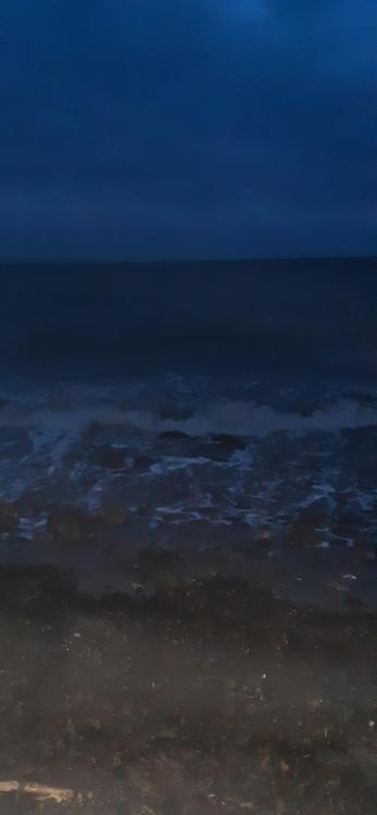 20201003_191435.thumb.jpg.66c2a4105c0ae77d812ce8a28a0f914c.jpg