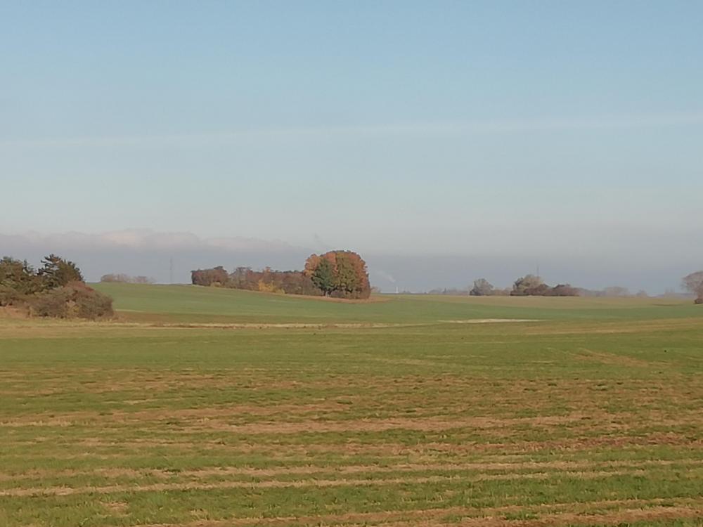 IMG_20201108_115330.jpg