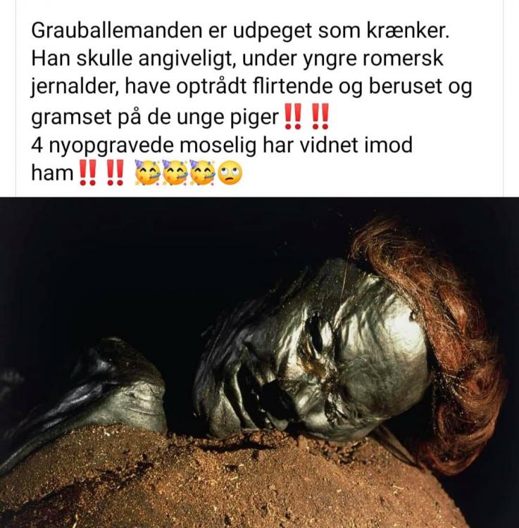 grauballemanden som krænker.jpg