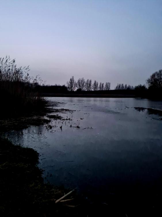 20210222_181323.jpg