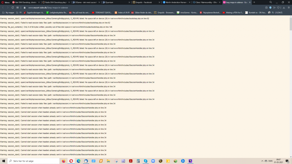 billede_2021-05-01_090828.png