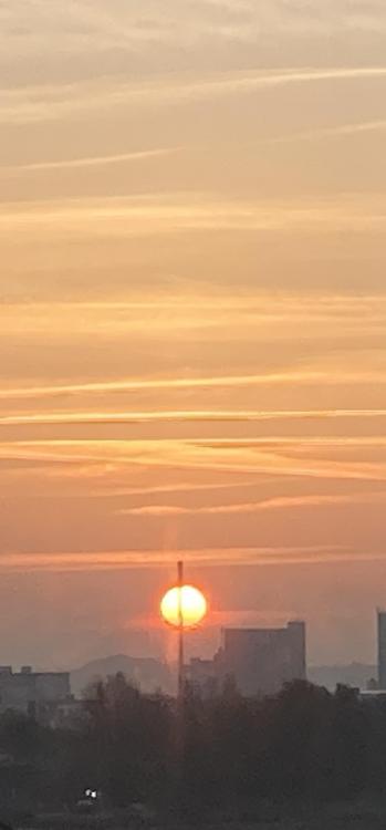 22200740-64D6-4D84-83BC-D51E3B420AA7.thumb.jpeg.edde732bb77f0a5cdb4997bb1115140d.jpeg