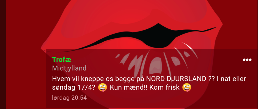 Skærmbillede 2022-04-17 kl. 10.34.41.png