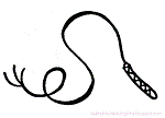 pisk4.gif.4b52ca8b0f053ebb339e0d37431a951b.gif