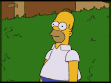 the-simpsons-homer-simpson.gif.a75ca556b01ade49b399832d6d5a7a18.gif