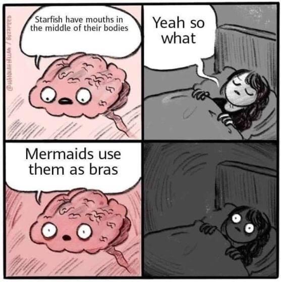 starfish.jpg.e5d4ced29a0a7a56c80e703f062f225c.jpg