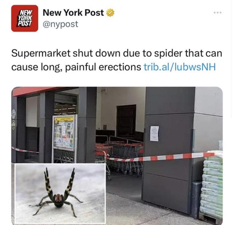 E724CDC0-42D3-4D6A-9E56-08B12D90C281.jpeg